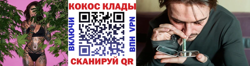 COCAIN Fish Scale  площадка как зайти  Ишим 