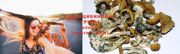 a pvp Пересвет