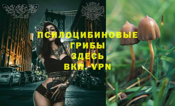 PSILOCYBIN Заволжье