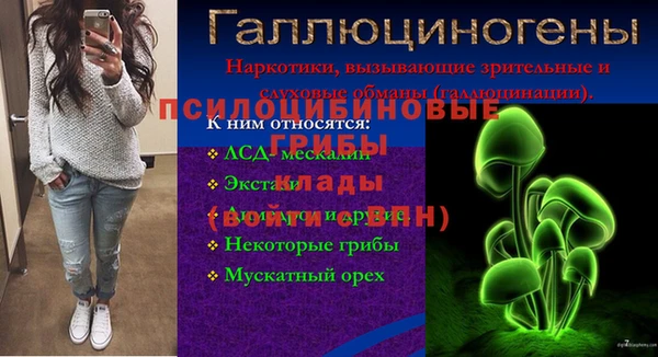a pvp Пересвет