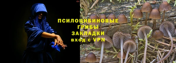 ГАЛЛЮЦИНОГЕННЫЕ ГРИБЫ Остров