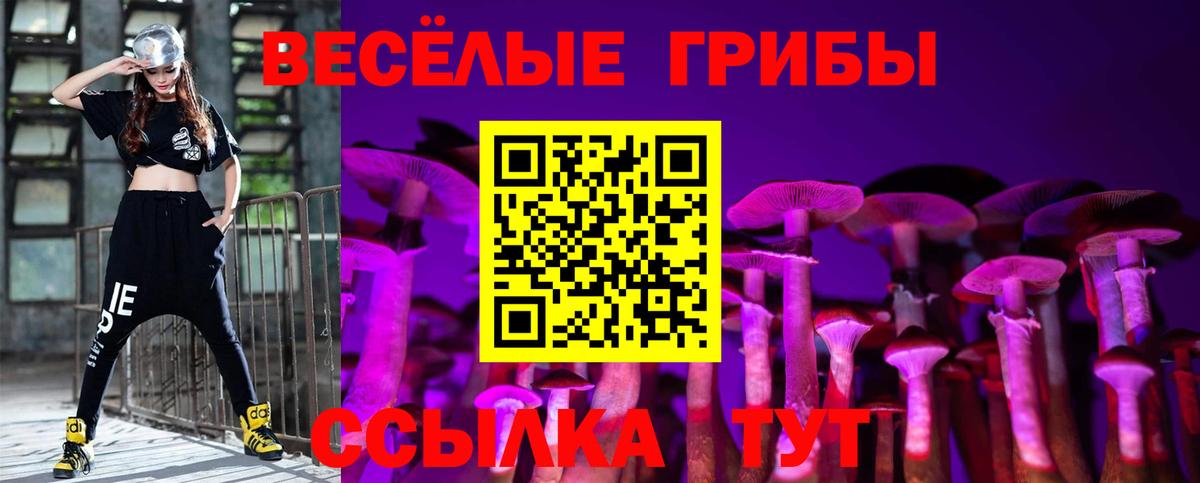Галлюциногенные грибы мухоморы Ишим