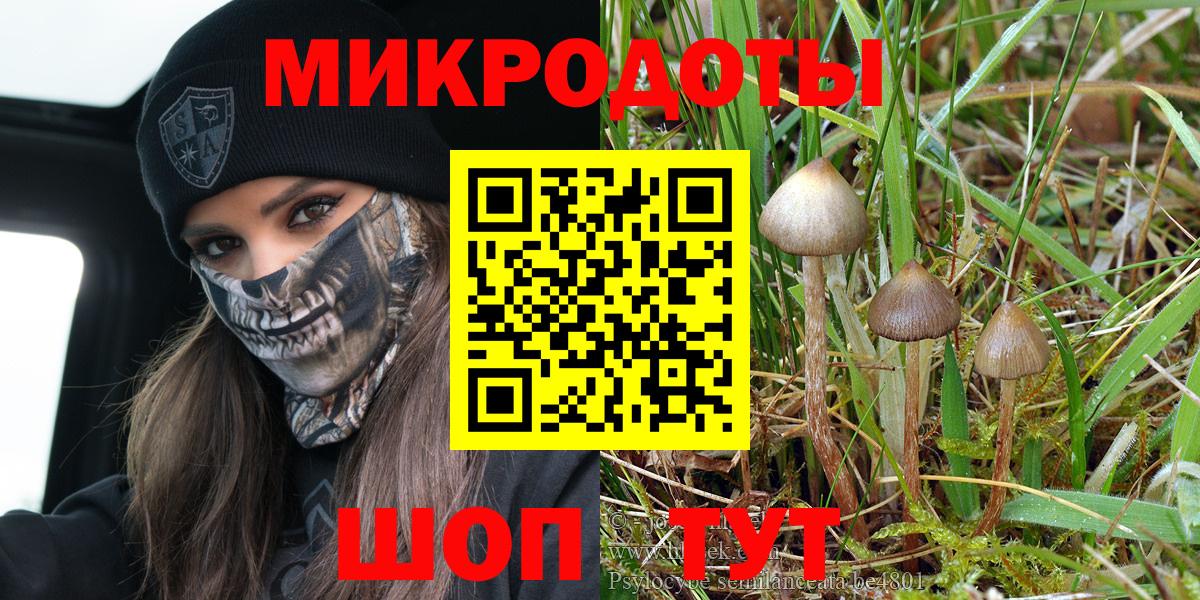 Ишим  Галлюциногенные грибы ЛСД  Псилоцибиновые грибы Psilocybe  Вход с VPN 