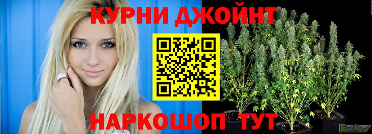 Шишки марихуана сатива  Конопля план  Ишим  Канабис Ganja 