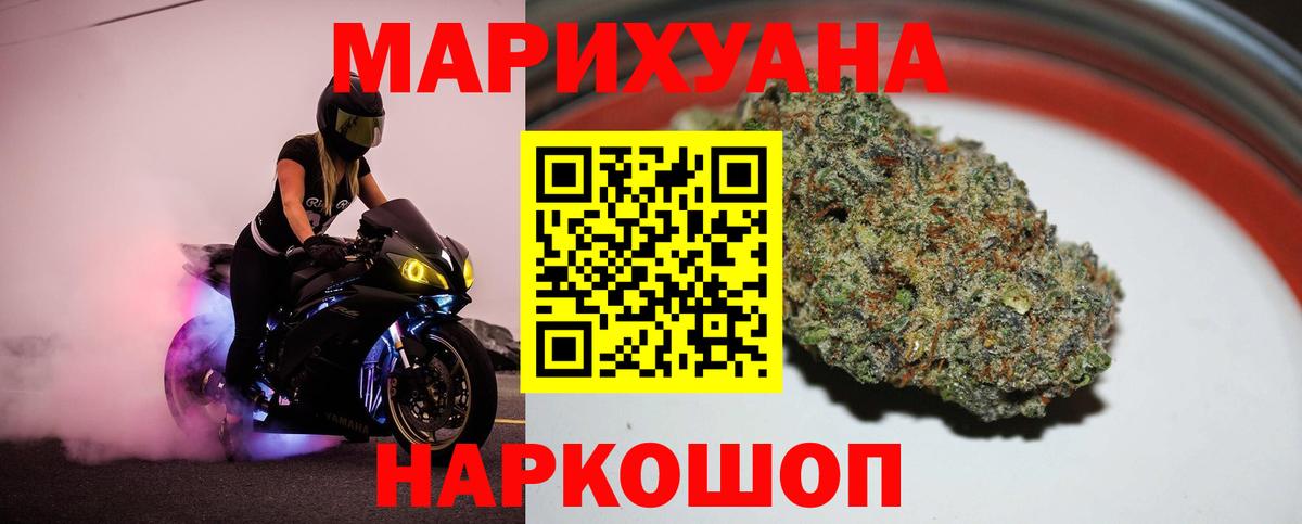 МАРИХУАНА сатива Ишим